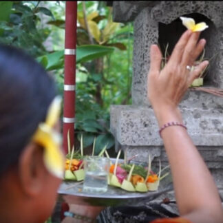 Quantum Wellness with Bali Blessing